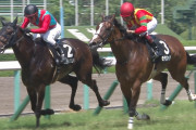 【競馬・鳴尾記念】福永ってなんでこんなに巧いの？
