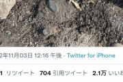 ツイッター「息子がとんでもないもの拾ってきて草」→2万いいね