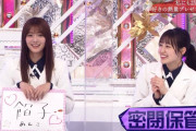 これはしょうがない！櫻坂46田村保乃、ギョーザ好きと勘違いされる【そこ曲がったら、櫻坂？】