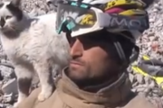 トルコ地震１２９時間目に救助されたネコさんが救助してくれた隊員に懐く動画が可愛すぎると話題に