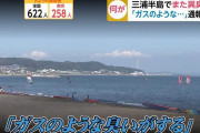 「ガス臭い」三浦半島でまた異臭騒ぎ、消防などに通報相次ぐ…今年3回目、原因は不明！
