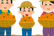 みかん農家になろうかと思うんやが