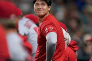 大谷がオカズにしていそうなもの