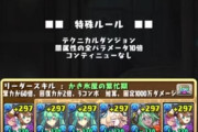 【パズドラ】今回の構築チーム販売は中身ちゃんとしてる！ 値段は1万円かな？【メニチャオ】