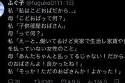 Twitter女性「私ってこどおばだから……」母「ちがうわよ！」