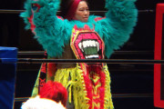 広島スラィリー、女子プロレスデビューｗｗｗｗ