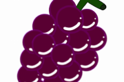 【悲報】日本、またやらかす… 石川県でしか作られない「超高級ぶどう」を品種登録してないため、韓国に盗まれる…