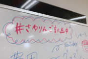 【朗報】乃木坂46・さゆりんご軍団明日集合ｷﾀ――(ﾟ∀ﾟ)――!!