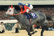 【競馬】芦毛の馬を挙げてさっさと寝ろ！
