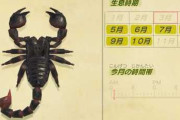 【あつまれどうぶつの森】サソリ捕まえるの難しくない？