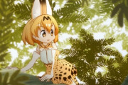 同居の義兄が子供たちの世話をするときにけものフレンズという幼女アニメを見せていた事が発覚。義兄を追い出したい