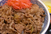 もしかして牛丼にマヨネーズかけたら