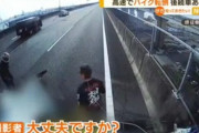 救助に駆けつけるメイトさん（動画）