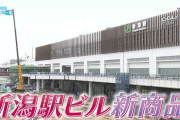 新潟駅めっちゃ様子変わってるね