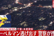 【木更津】ドーベルマン数頭が逃亡、警察「捕まえようとせず通報して」…保健所から通報受ける