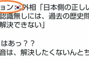 【悲報】日本の極右衆議院議員がツイッターで韓国を侮辱！→「我々が『チョクパリ』と書けば大騒ぎに成るのに‥」　韓国の反応