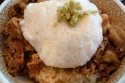 【朗報】牛丼に一番合うパートナー(トッピング)、決定する