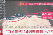 【超悲報】お米さん、値上がりが止まらない