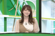 【画像あり】アナウンサーさん、とんでもない服装で生放送にでてしまう