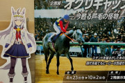 【ウマ娘】JRAは別にウマ娘に非協力的なわけじゃないぞ