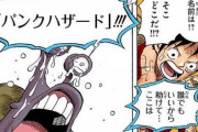 【悲報】ワンピースで最も微妙な章、決まるｗｗｗｗｗ
