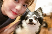 【速報】乃木坂46 生田絵梨花、犬を飼っていた