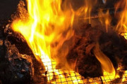 【ファイヤー】バーベキューしてる ＆ ワイ陽キャバーベキューナウwww