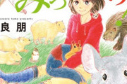 漫画「へんなものみっけ!」最新8巻予約開始！北海道の離島、カモメをめぐる友情の物語