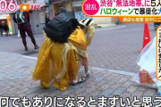 【民度】『渋谷はイベント時にゴミで荒れる』『渋谷ハロウィンはゴミまみれになる』←これ世間の誤解だった