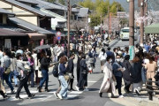 桜の見頃で京都・嵐山は人出増、関東から観光客も「思い出づくりは今しか」