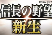 信長の野望ムズすぎワロタ