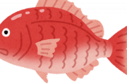鯛とかいう全く旨くねぇ魚wwwwww