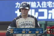 日ハム清宮幸太郎　.000(10-0)