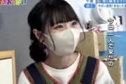 【悲画像】はじめてのおつかいで話題の例のあの娘、小中の同級生に嫌われていた模様…