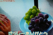 【おしゃれイズム】さっしー、SHELLY家にブドウを贈る