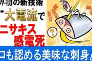 【世界初】電気ショックで感電死、アニサキス殺虫