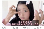 【誹謗中傷】「小5女子の動画」にライン越えコメントを投稿する者、現る。これもう病気だろｗｗｗｗｗ