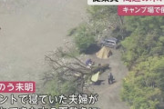 【画像】『例の倒木キャンプ場』、事故前の写真がこちらｗｗｗｗｗｗｗｗｗｗｗｗｗｗｗｗｗ