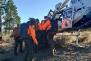 【米】飼い主がハイキング中に落下しけが、犬が救助隊導く