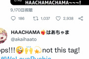 【速報】ホロライブVtuberさん、潤羽るしあを助けるためにとんでもないツイートをしてしまうもツイ消しへ……