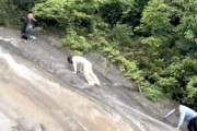 【中国】滝で立ち往生した女性を救おうとした男性、滑り落ちてしまう。