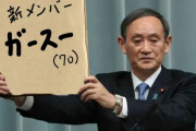 【悲報】菅首相、「なんでうまくいかないんだ！」と夜中に泣く
