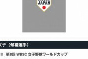 巨人と阪神の女子チームが初の「伝統の一戦」　金満梨々那主将「絶対に勝利で飾りたい」