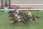 【競馬】最近2歳馬のレースしか楽しめないんだが・・古馬とかクソつまらない