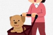 【社会】「ペット連れ出勤ＯＫ」の会社が登場し話題に、その狙いは？