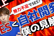 SESに転職しようと思ってるんやが