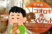 【SDGｓ】コオロギを意識高い系ヨーロッパ人に食べさせた結果ｗｗｗｗｗｗｗｗｗ