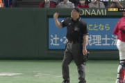 巨人、10回裏に幻のサヨナラ　リクエストで判定覆りアウトに