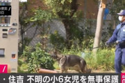 大阪の不明女児、栃木で保護　男の身柄拘束　男は別の女児も監禁