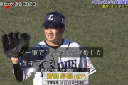 元西武の野田昇吾、144試合登板した左キラーだ！
